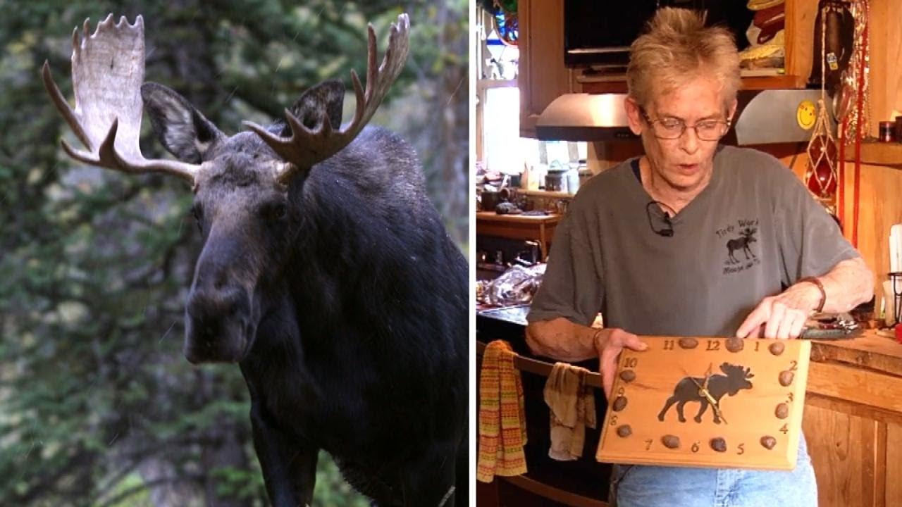 ������������