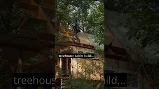 Building A Treehouse Cabin Alone In A Beautiful Forest - EP13 The Roof #treehouse #cabinbuild #asmr