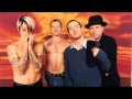 Red Hot Chili Peppers - Mountain View, CA, 29.10.2000 FULL ACOUSTIC SHOW