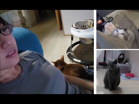 Download 業者にビビるもちとら