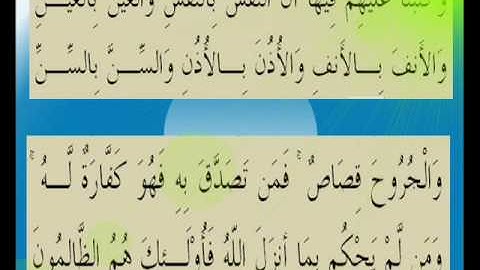 القران الكريم سورة المائدة الأية 45.wmv