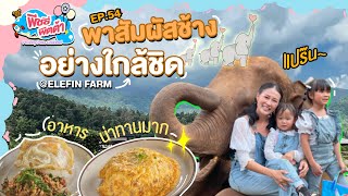 EP.54 🐘พาสัมผัสช้าง อย่างใกล้ชิด @Elefin Farm chiangmai