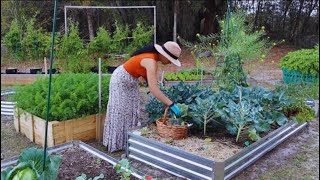 #4 | Harvesting and Cooking what my Garden gives me | Growing a Vegetable Garden in the Countryside