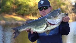 TOP 10 HUGE LARGEMOUTH BASS CAUGHT ON CAMERA! (compilation)