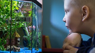 It's For The Kids! Top 10 Aquarium Fish For Children