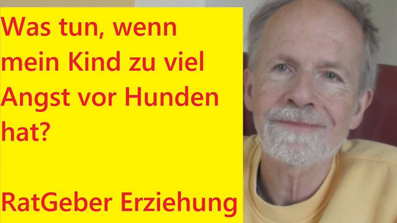 Was tun, wenn mein Kind zu viel ANGST vor HUNDEN hat?