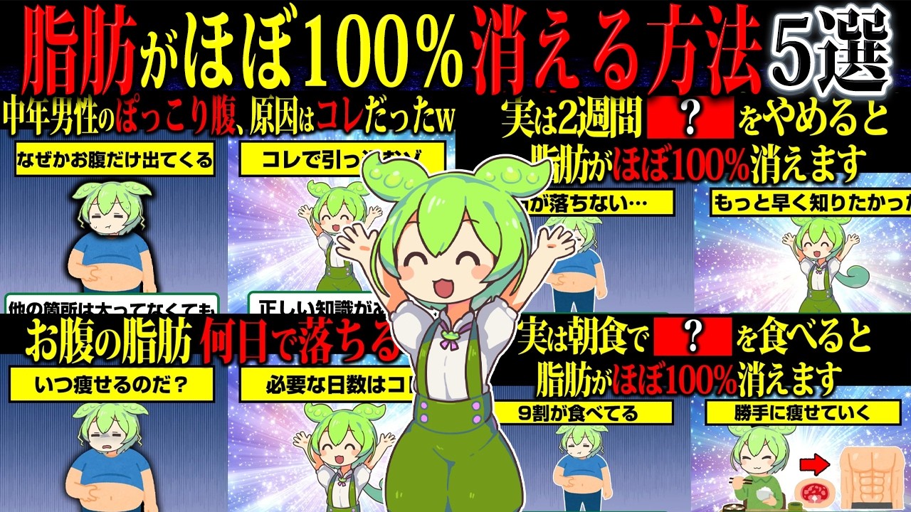【総集編】9割が知らない脂肪をほぼ100％落とす方法【ずんだもん】【作業用】【睡眠用】