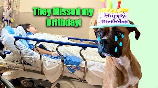 WE miss OUR DOGS BIRTHDAY! Breanna's 2nd surgery!