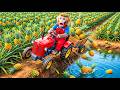 Monkey NaNa’s Pineapple Harvest Turns CHAOTIC as She Falls into the Pond Losing Her Pineapples! 😱🚜🍍🐒