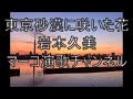 東京砂漠に咲いた花/岩本公水