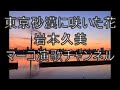 東京砂漠に咲いた花/岩本公水