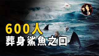 【USSIndianapolis】1195 people only 316 survived, the largest shark attack on humans in human history