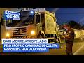 Gari morre atropelado por caminhão de coleta em Franca