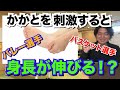 かかとを刺激すると身長が伸びるというのは本当なのか？身長が伸びる方法を徹底解析！バーレー選手やバスケット選手が身長が高いのはなぜなのか？