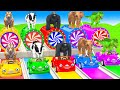 Long Slide Game With Elephant Gorilla Buffalo Hippopotamus Tiger 3d Animal Game Funny 3d Animals