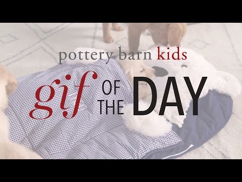 Gif Of The Day Ice Castle Pottery Barn Kids Youtube