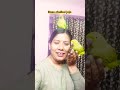 Main Sirf Naam Ki Mummy😂 | Ghar Me Do Boss 👑#talkingparrot#petbird#indianringneck#chulbuljojoparrots