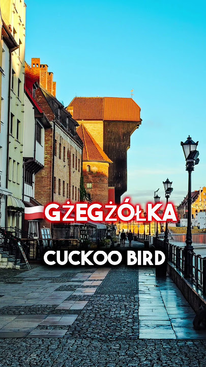 Why Is Polish So HARD?!? 🤯🇵🇱 #poland #polish #language