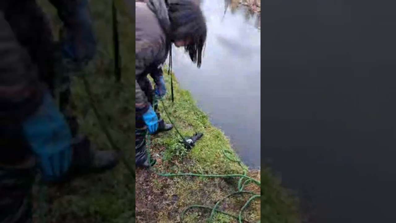 OMG!... What Did We Just Find? #shorts