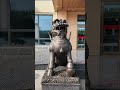 Our Office Environment | Professional Team & Working Space