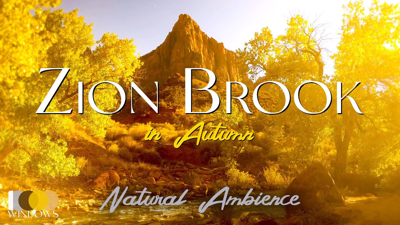 Real Zion Waters | Best Ambience for Sleep Study Relaxation Love | Real 4K Nature Background