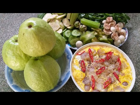 Video Mắm Chưng Hột Vịt Thịt Bằm Hương Vị Miền Tây Cùng Dĩa... - youtube