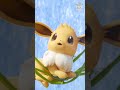 【ポケモン公式】ポケモン Shorts ～「ポケモン動画図鑑」イーブイ〜 #ポケモンKidsTV