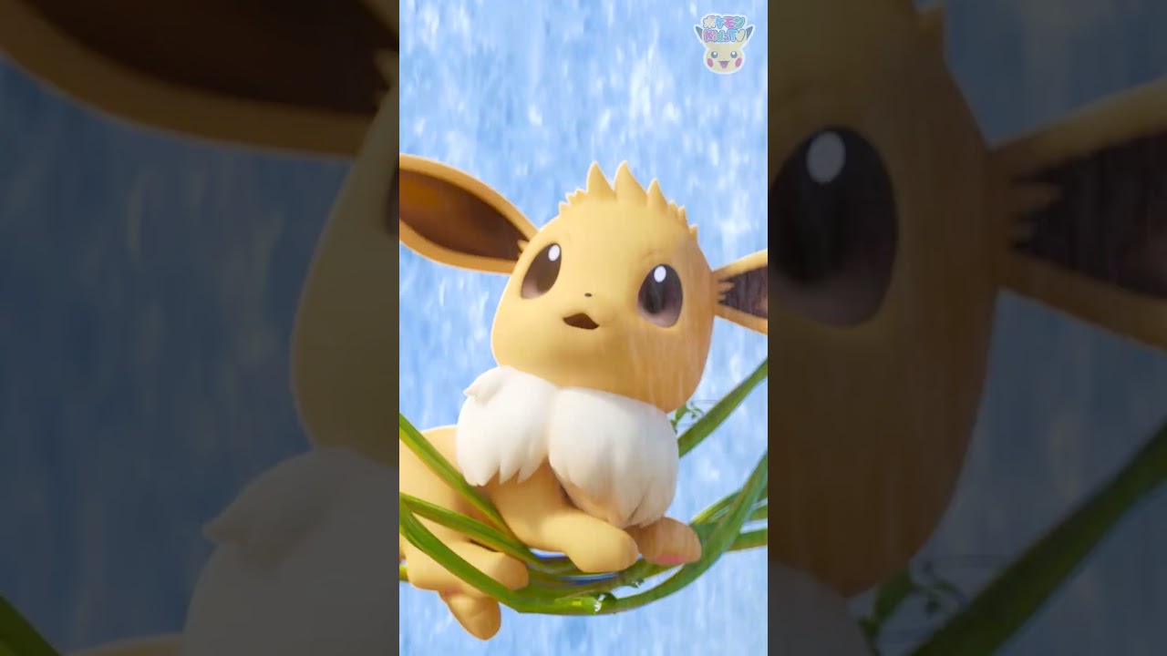 【ポケモン公式】ポケモン Shorts ～「ポケモン動画図鑑」イーブイ〜 #ポケモンKidsTV