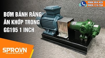 Bơm bánh răng ăn khớp trong GG195 1 inch | Máy bơm bánh răng giá rẻ