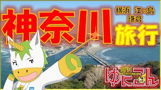【雑談配信】週刊ゆにこん #41「神奈川旅行」【Vtuber / #ゆにこん 】