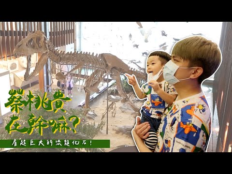 【蔡桃貴在幹嘛#14】2歲去看超巨大的恐龍化石！超興奮，完全不會怕了！