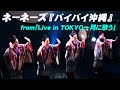 ネーネーズ『バイバイ沖縄』from「Live in TOKYO~月に歌う」