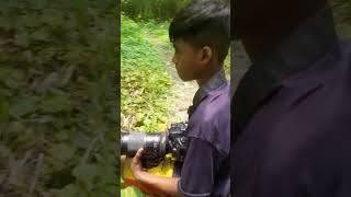 canon 7d mark ii // wildlife photography with 600 #canon #portraitphotography #shorts #bird