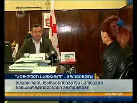 ბრძოლა ქურდულ სამყაროსთან - ეროვნული სტრატეგია