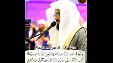 Raad Al kurdi Whatsapp status / رعد الكردي حالات واتس اب/ سورة يس رعد الكردي
