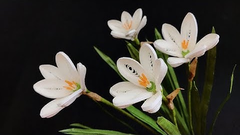 ABC TV | How To Make Rain Lily Flower | Paper Quilling - Craft Tutorial