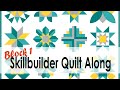 Online Quilting Bee Skill Builder 2020 Block 1 with On Williams Street