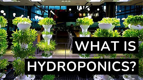 What Is Hydroponics? - Chapter 1