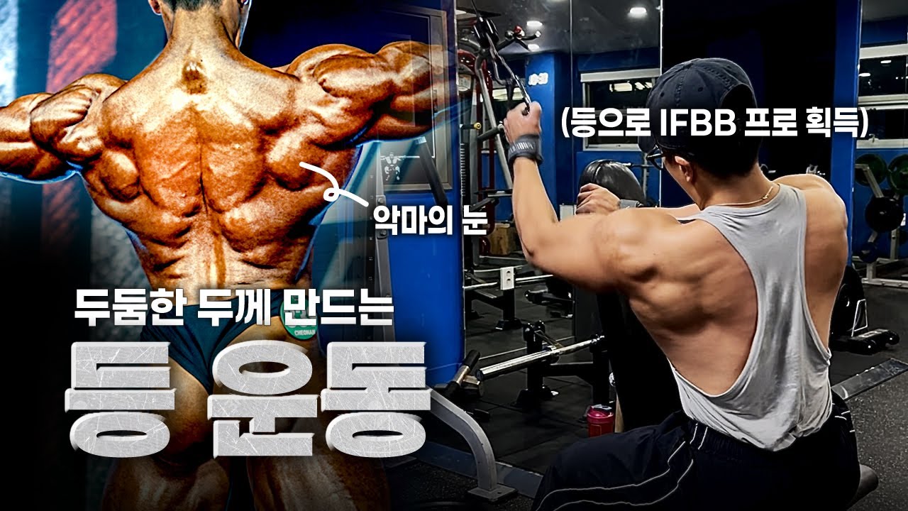 솔직히 제 등 좋지않아요? 자극 잘오는 등 운동 루틴 BACK WORKOUT
