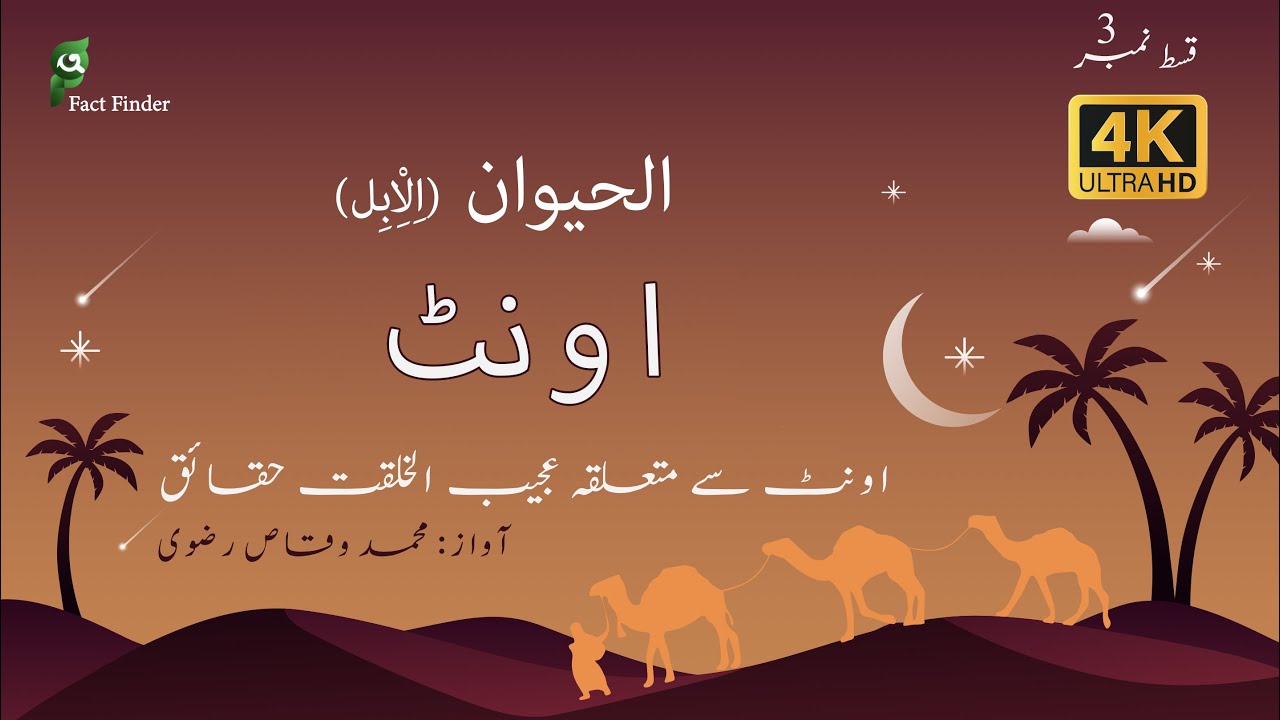 Al-Haiwaan Camel Facts |Episode 03 | Urdu Hindi  