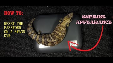 Swann security system password reset