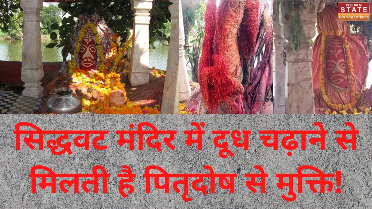 Pitra Paksh | Siddhavat Mandir Ujjain | सिद्धवट मंदिर में दूध चढ़ाने से मिलती है पितृदोष से मुक्ति!