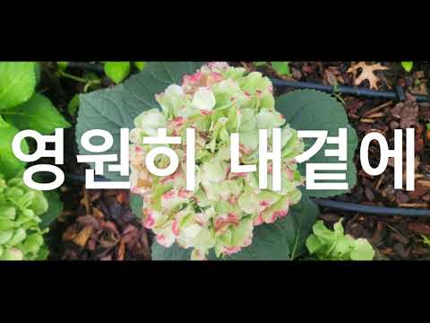 영원히 내곁에-(cover) 허우수 -230721 .원곡.남진