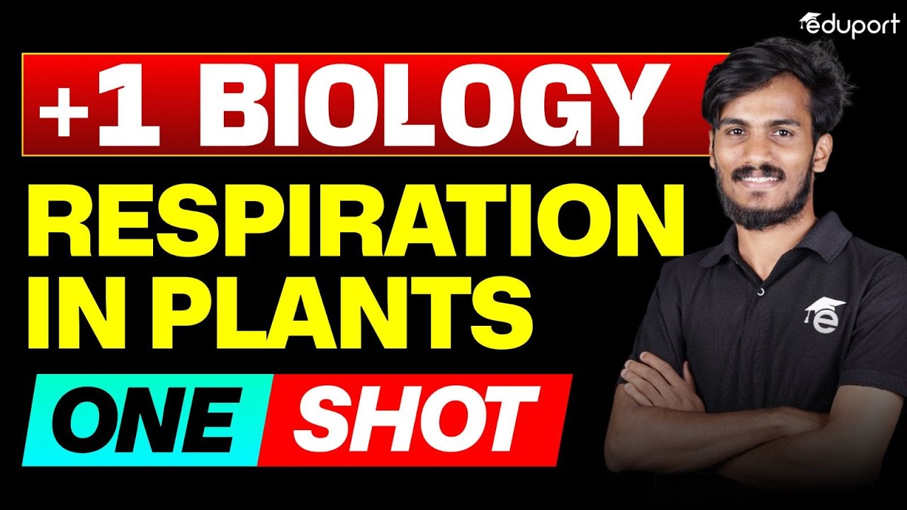 Plus One Biology | Respiration in Plants | One Shot | Public Exam 2025 | Eduport Plus One