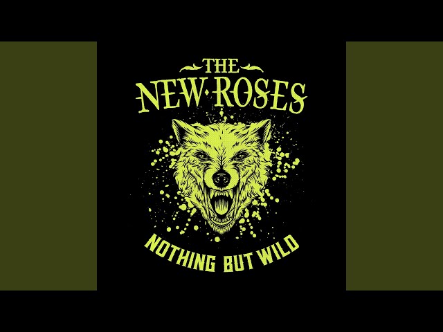 The New Roses - Fight You Leaving Me
