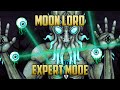 Terraria  moon lord boss expert mode guide with melee
