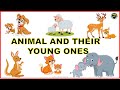 Animal and Their Young Ones Quiz