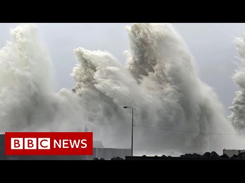 Flooding and mudslides as typhoon batters Japan - BBC News