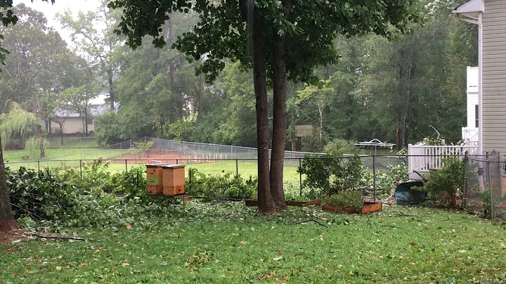 Irma in Atlanta, Georgia