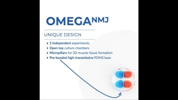 OMEGA-NMJ 3D Neuromuscular Junction Device (product video)
